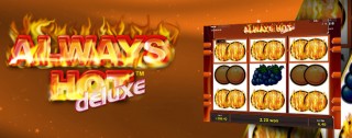 always hot deluxe banner medium