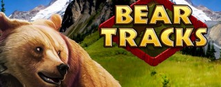 bear tracks banner medium