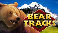 bear-tracks-logo