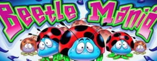 beetle mania medium