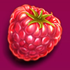 Berry Burst Himbeere