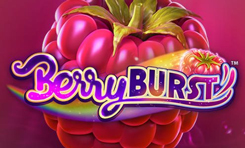 Berry Burst Logo