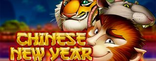 chinese new year banner medium