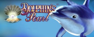 dolphins pearl medium