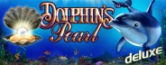 dolphins pearl deluxe banner medium