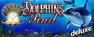 dolphins pearl deluxe banner medium