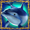 dolphins-pearl-deluxe-delphin