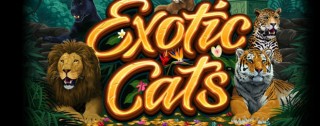 exotic cats banner medium