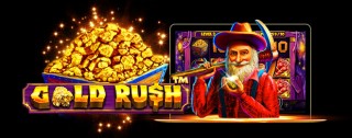 gold rush banner medium