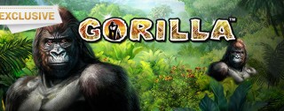 gorilla banner medium