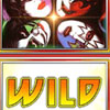 Kiss Wild