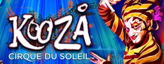 kooza banner medium