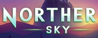 northern sky banner medium