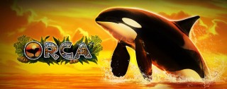 orca banner medium