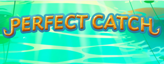 perfect catch banner medium