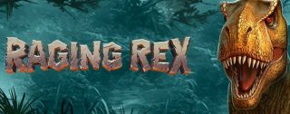 raging rex banner medium