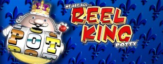 reel king potty banner medium