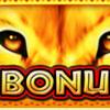 serengeti heat bonus symbol