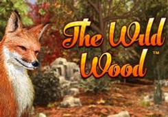 the-wild-wood-logo