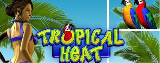 tropical heat banner medium