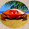 tropical-heat-krabbe