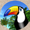 tropical-heat-tucan