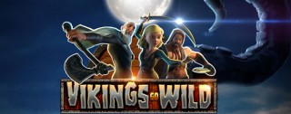 vikings go wild banner medium