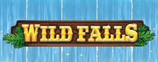 wild falls banner medium