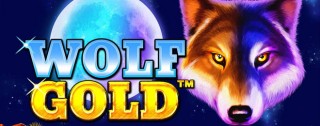 wolf gold banner medium